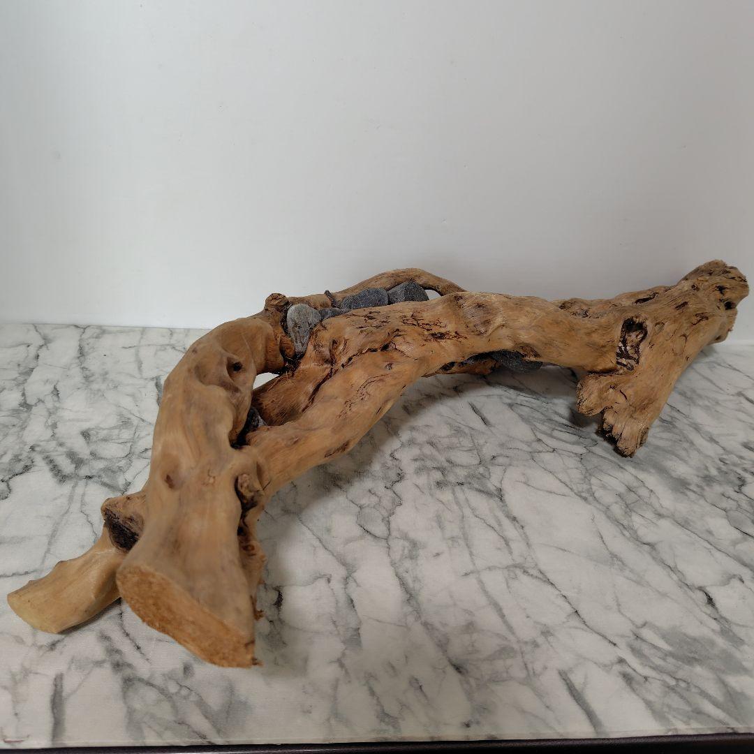 アク抜き済み流木【858】セール