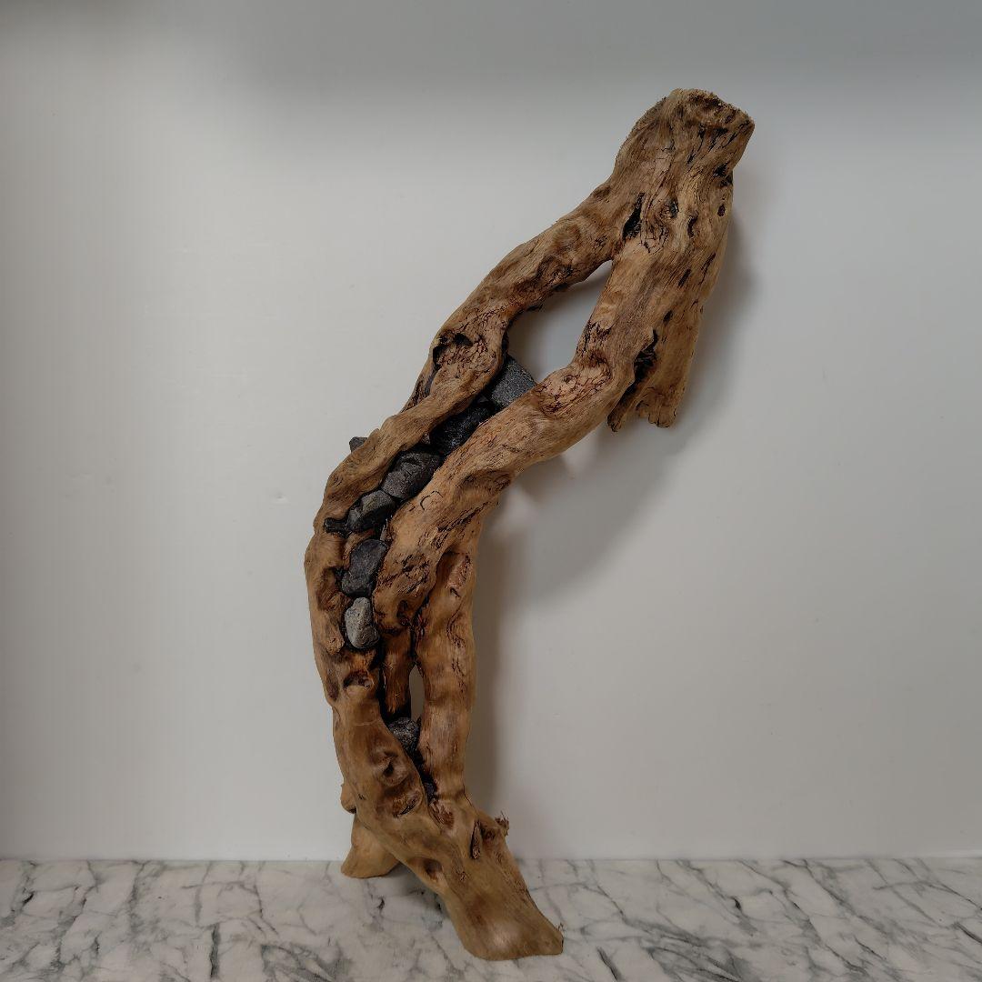 アク抜き済み流木【858】セール