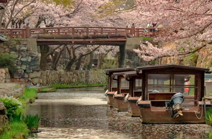 良品❤【春はもうすぐ】ニコン　初心者こそD40x　スマホ転送　デジイチ