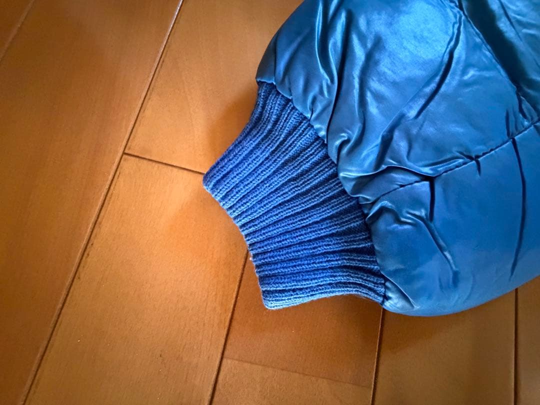 か*ろ様 ヴィンテージ　anoralp（アノラルプ）　メンズ　ダウンジャケット