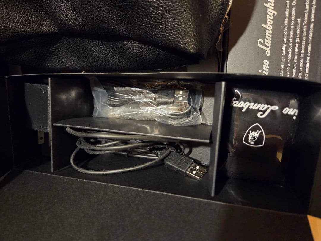 【美品】トニーノランボルギーニ　アルファワンALPHA ONE 美顔器