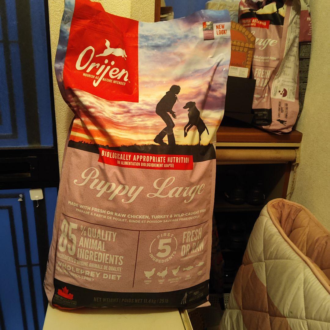 Origin オリジン ドッグフード PuppyLarge パピーラージ 大型犬