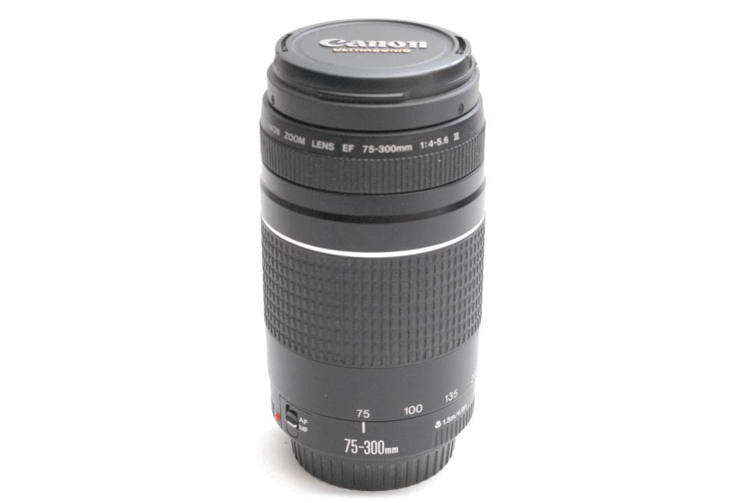CANON ZOOM LENS EF 75-300mm1:4.5-5.6ⅢUSM