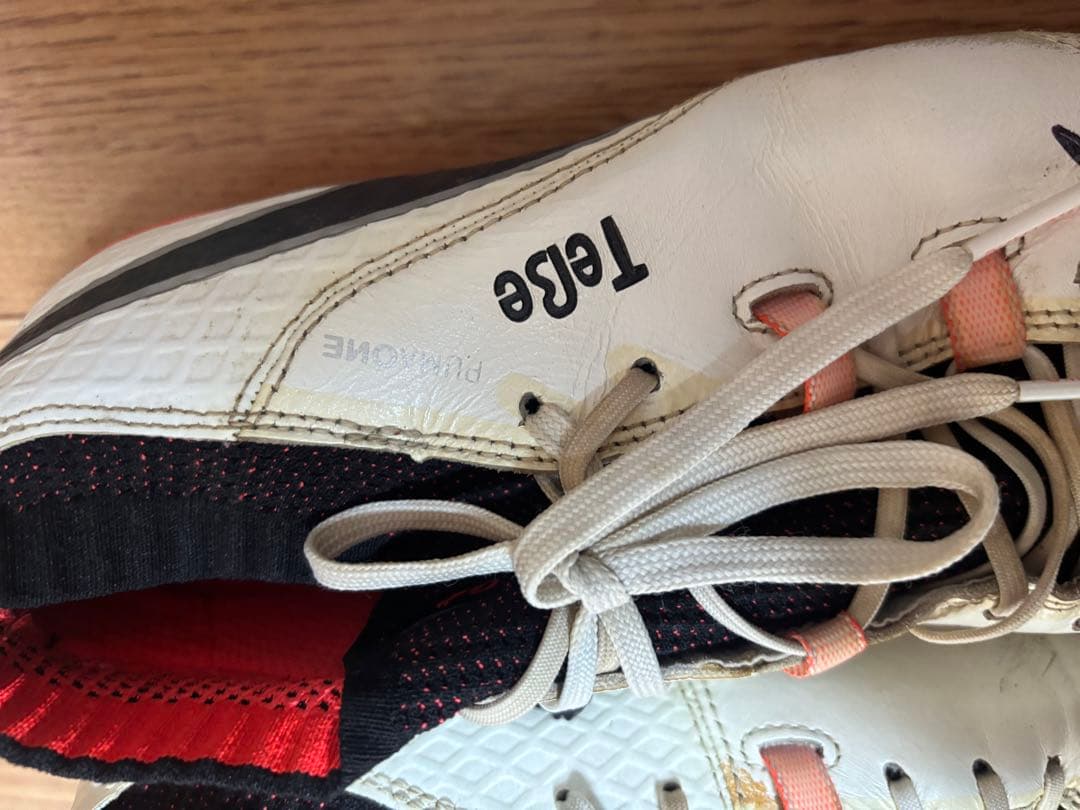 鄭大世 直筆サイン入り 実使用スパイク 清水エスパルス 支給品 チョンテセ