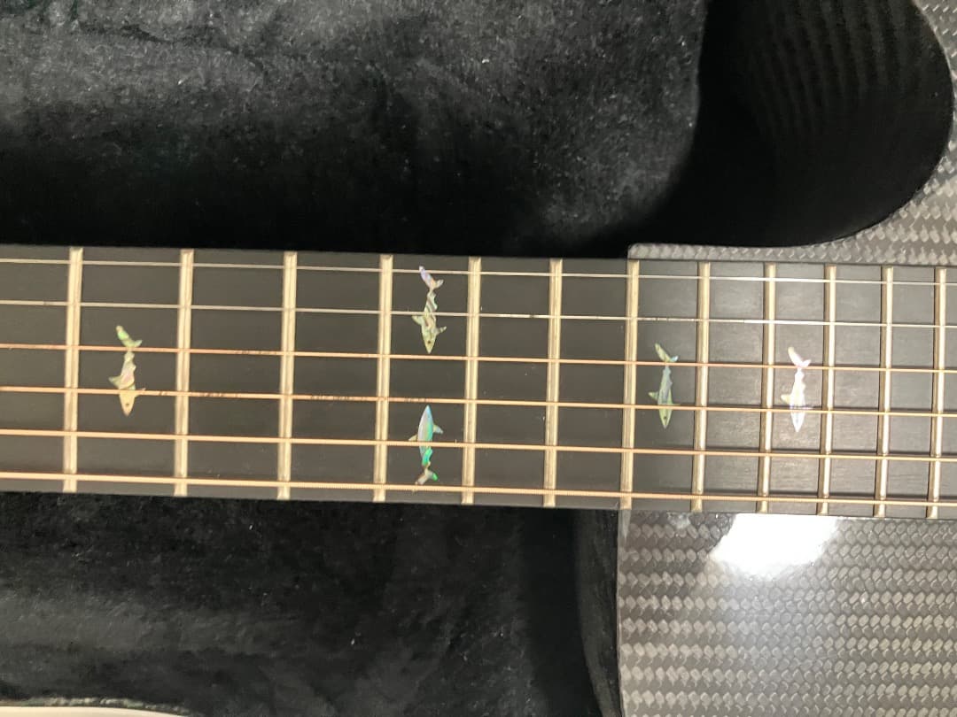 T*r様 RainSong WS1000N2 カーボンファイバー 　 ハードケー