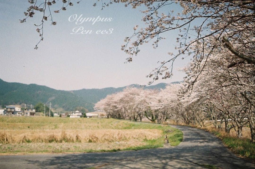 ★作例多数！★olympus pen ee3★完動・美品・赤ベロOK★入門に！