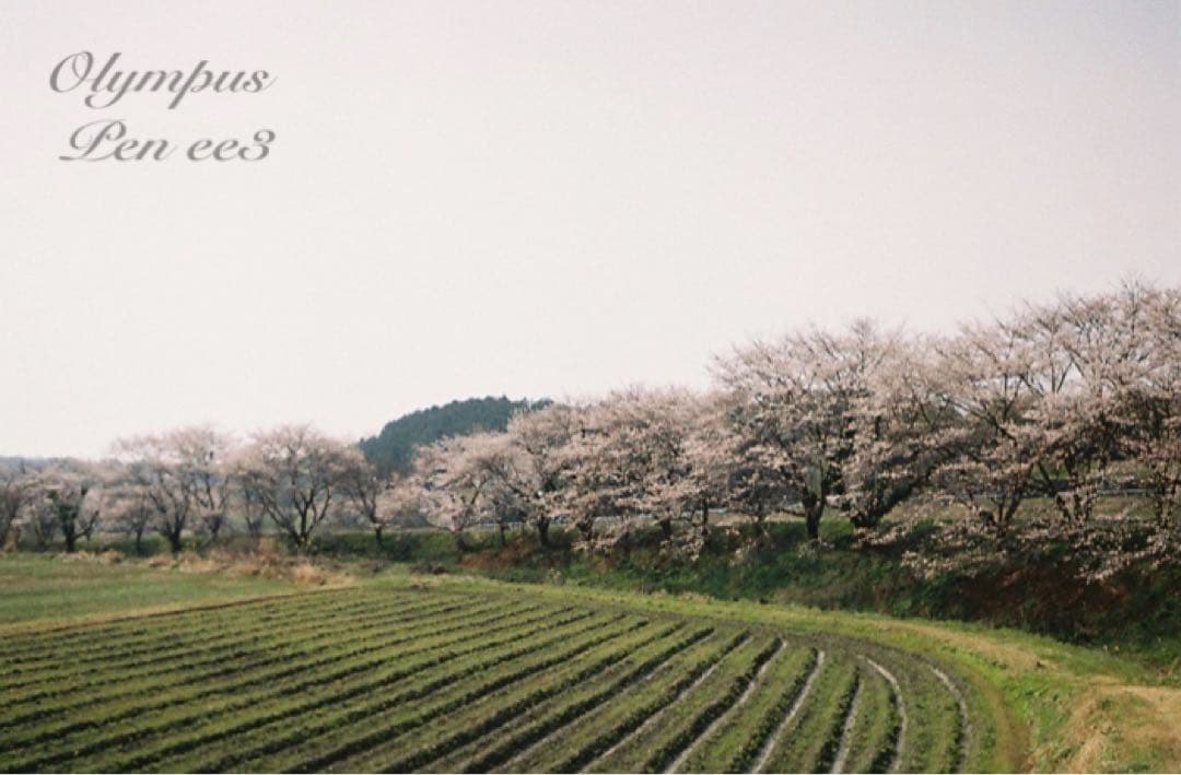 ★作例多数！★olympus pen ee3★完動・美品・赤ベロOK★入門に！