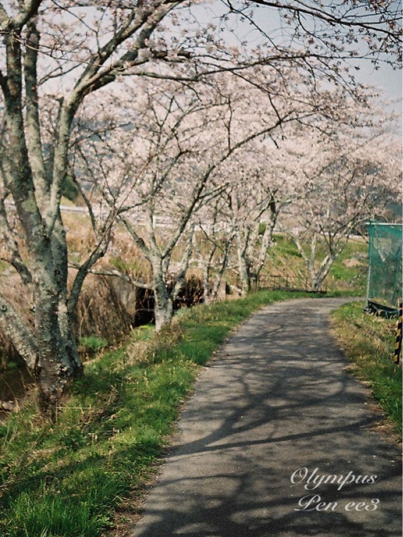 ★作例多数！★olympus pen ee3★完動・美品・赤ベロOK★入門に！