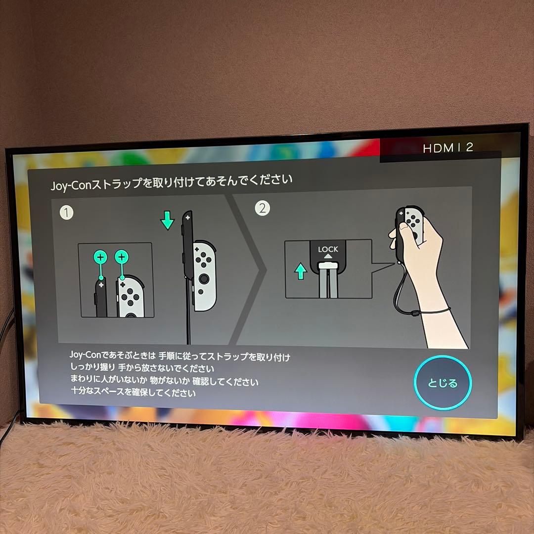 【極美品】PANASONIC VIERA TH-49EX750 4K対応