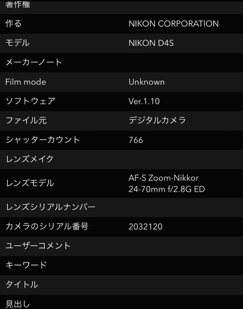 希少 極良品 NIKON D4S 標準レンズ セット 付属品 多数 カメラバッグ