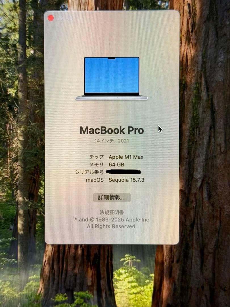 MacBook Pro 14“ M1 Max 64GB JIS