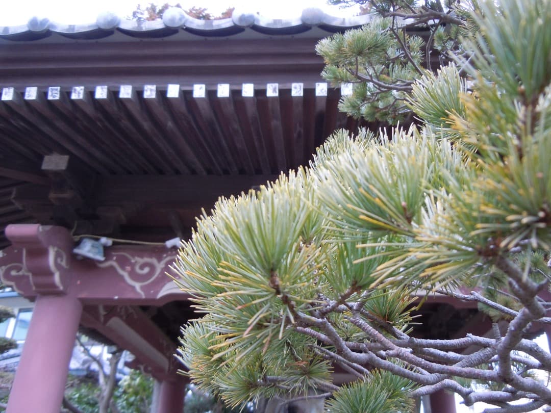 実写美⭕️訳あり【動作確認済】Nikon COOLPIX S8000 ブラック