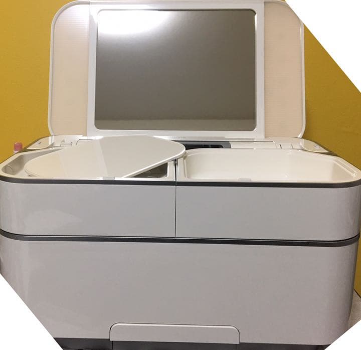 フヨウ サキナ ビジュー