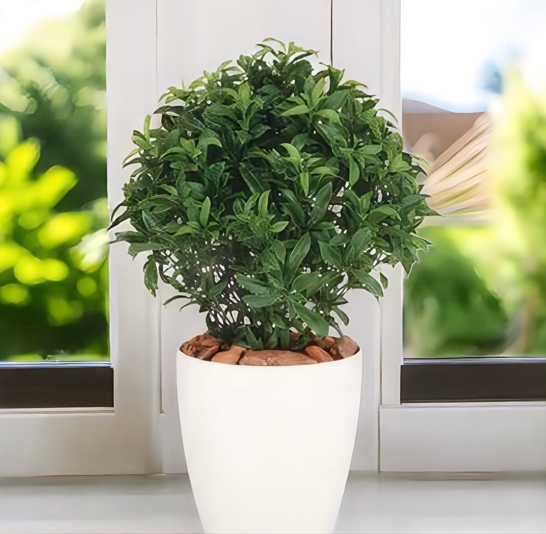 光触媒　人工観葉植物　ウォールグリーン　フェイクグリーン　ベイリーフ