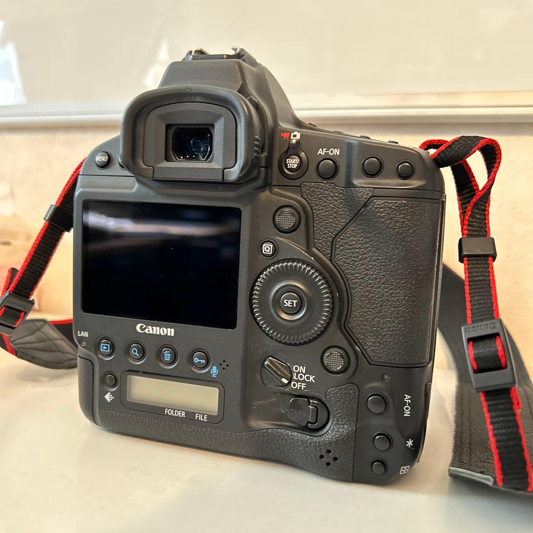 CANON EOS-1DX MarkⅡ　不動