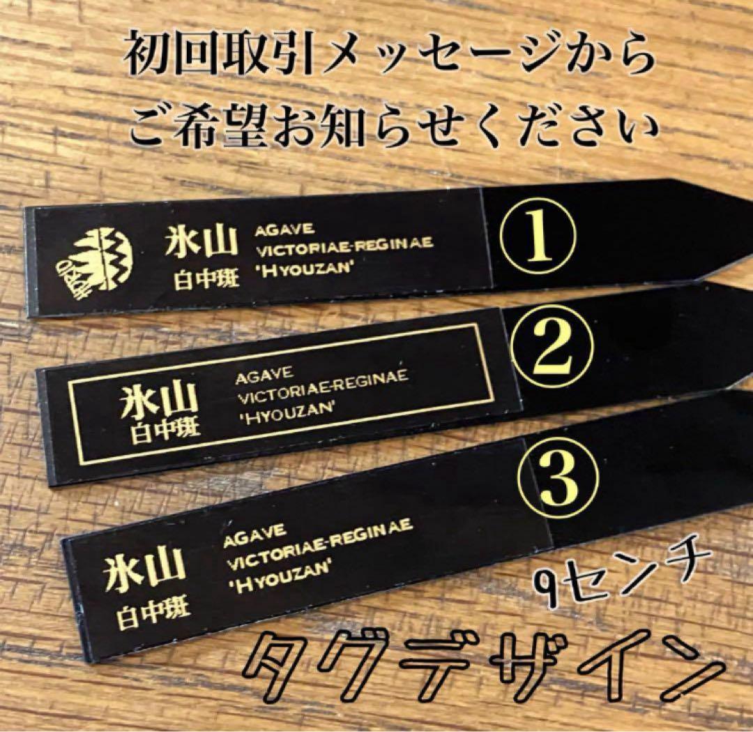 まかいきし様 リクエスト 2点 まとめ商品