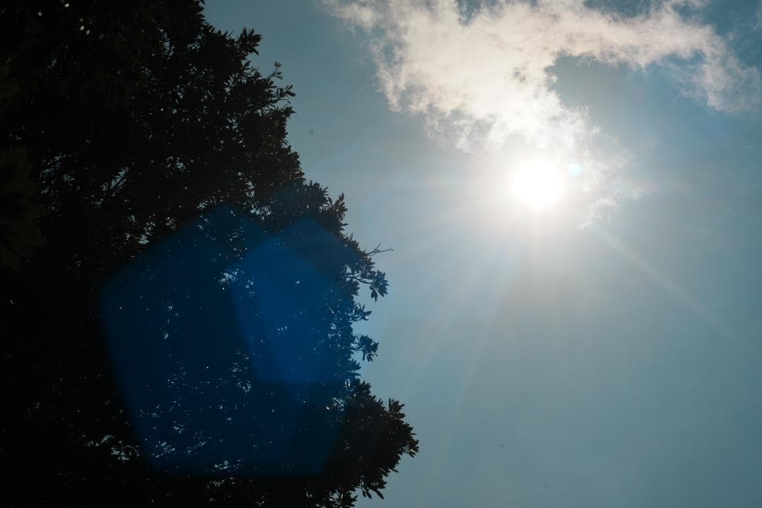 【超希少！金属製】動作◎ FUJINON 55mm F2.2 M42