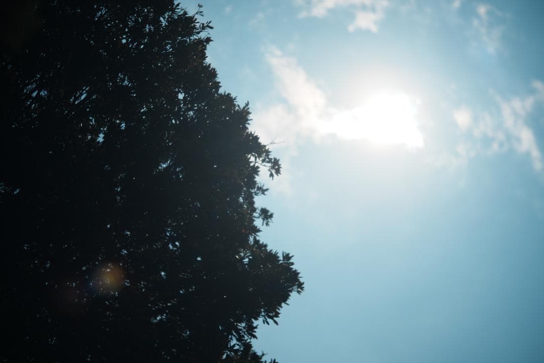 【超希少！金属製】動作◎ FUJINON 55mm F2.2 M42