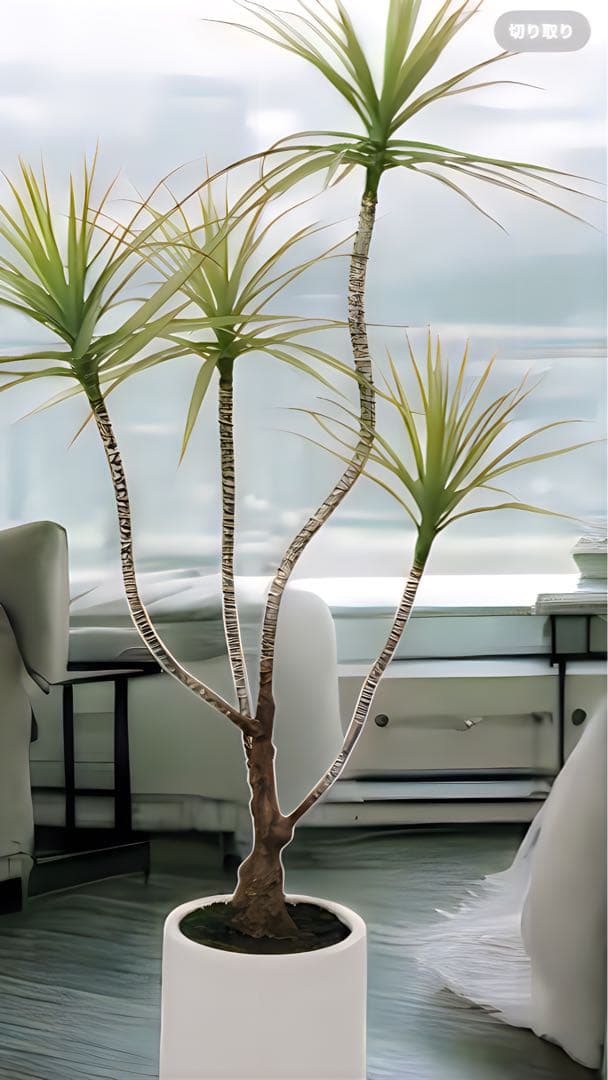 光触媒　人工観葉植物　ウォールきグリーン　フェイクグリーン　ドラセナポット110