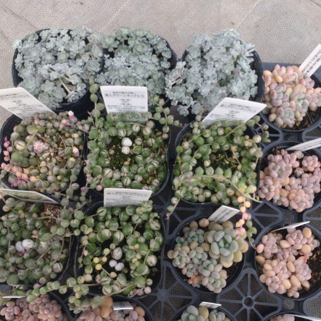 choco...∞さん専用