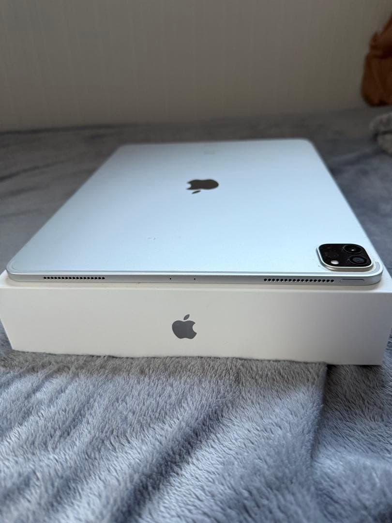 Apple iPad Pro 本体