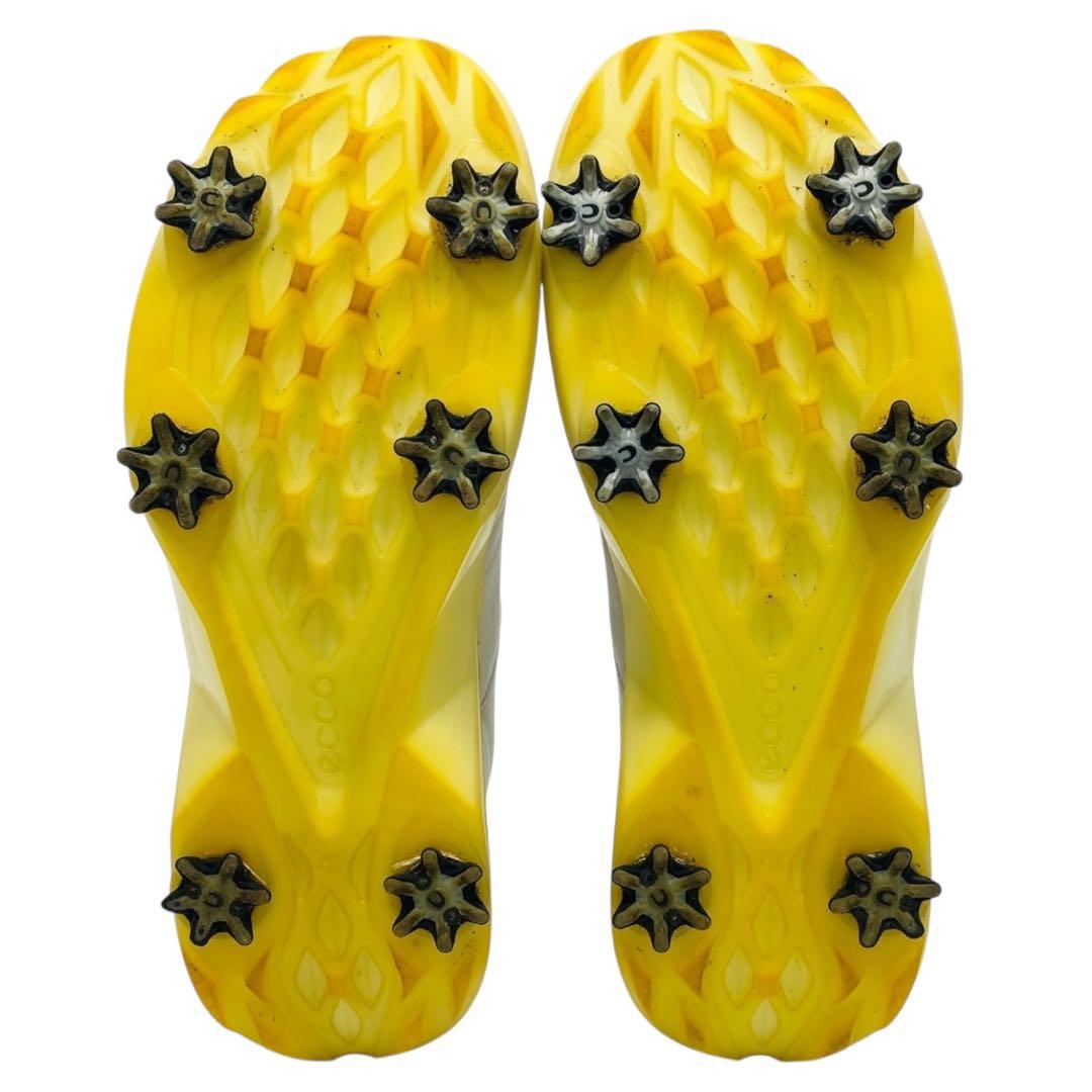 ECCO BIOM G5 ゴアテックス ゴルフシューズ 27.5cm