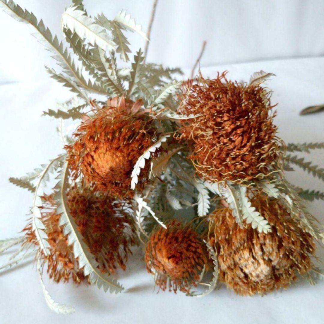 ドライフラワー様