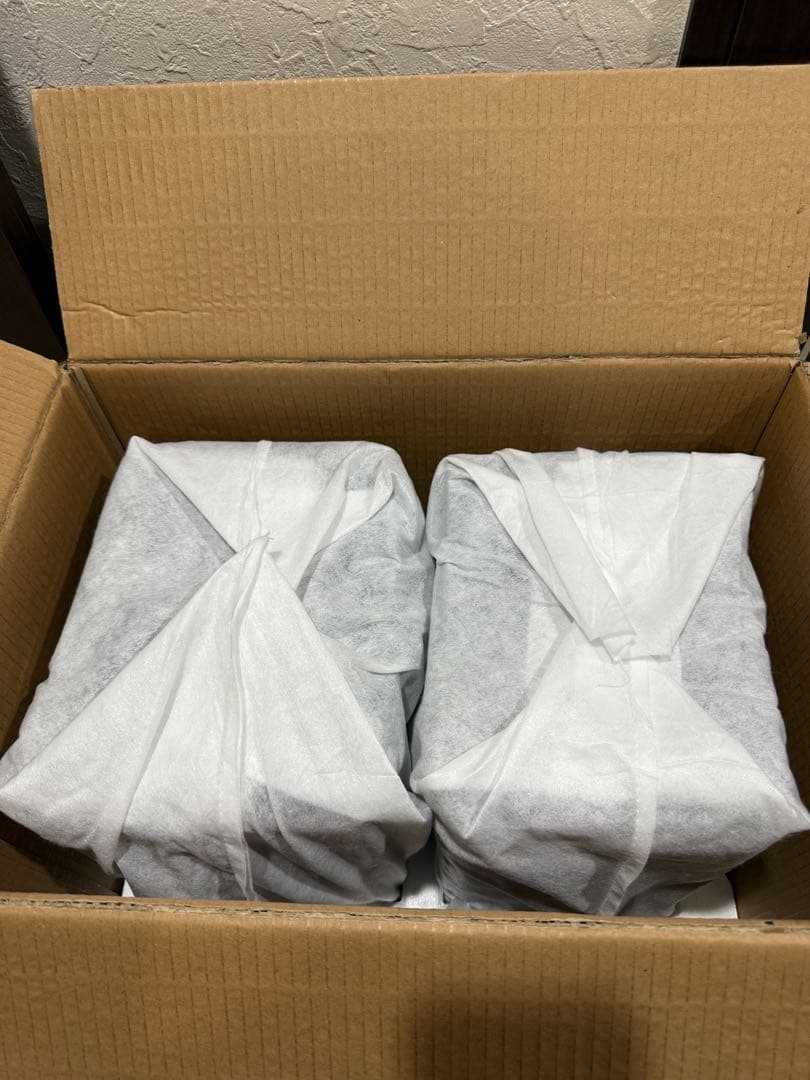 【美品】DALI SPEKTOR2 ペア