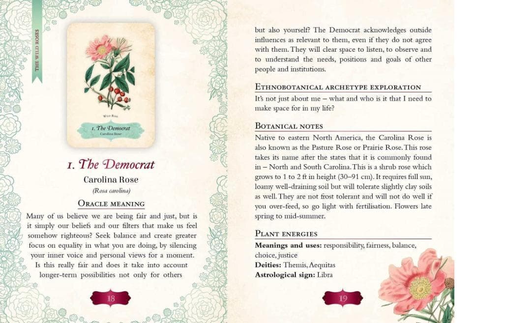 【正規品オラクルカード】エレガントローズ色✨美しいヴィンテージイラスト薔薇デッキ