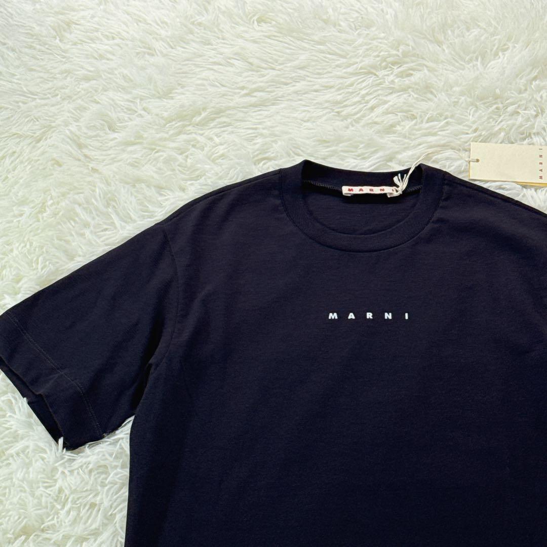 新品タグ付✨ 大人もOK！マルニ　キッズTシャツ　12Y 150 紺 25SS