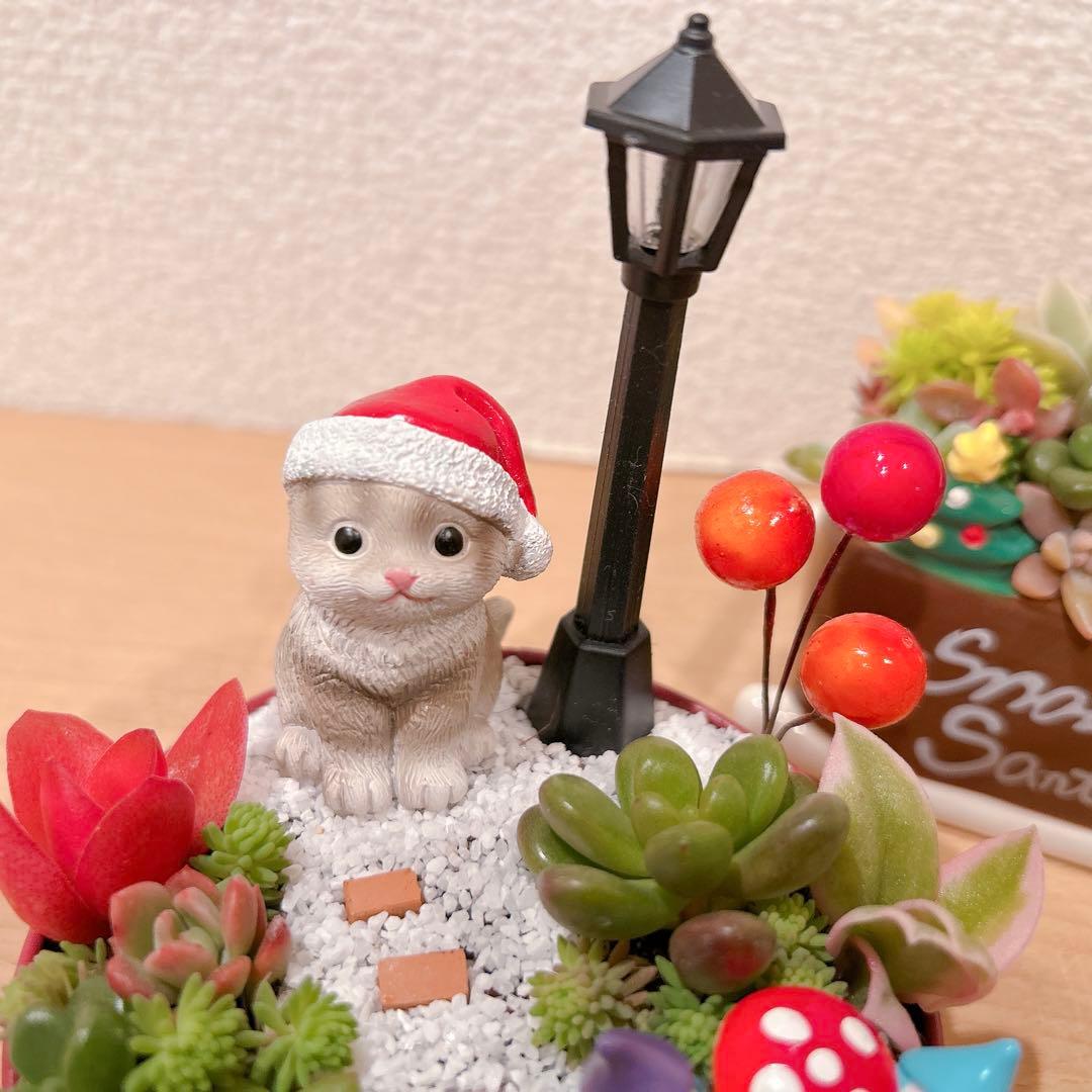 メルカリ便♫多肉植物寄植え♫そのまま飾れる♫ねこちゃんセットChristmas