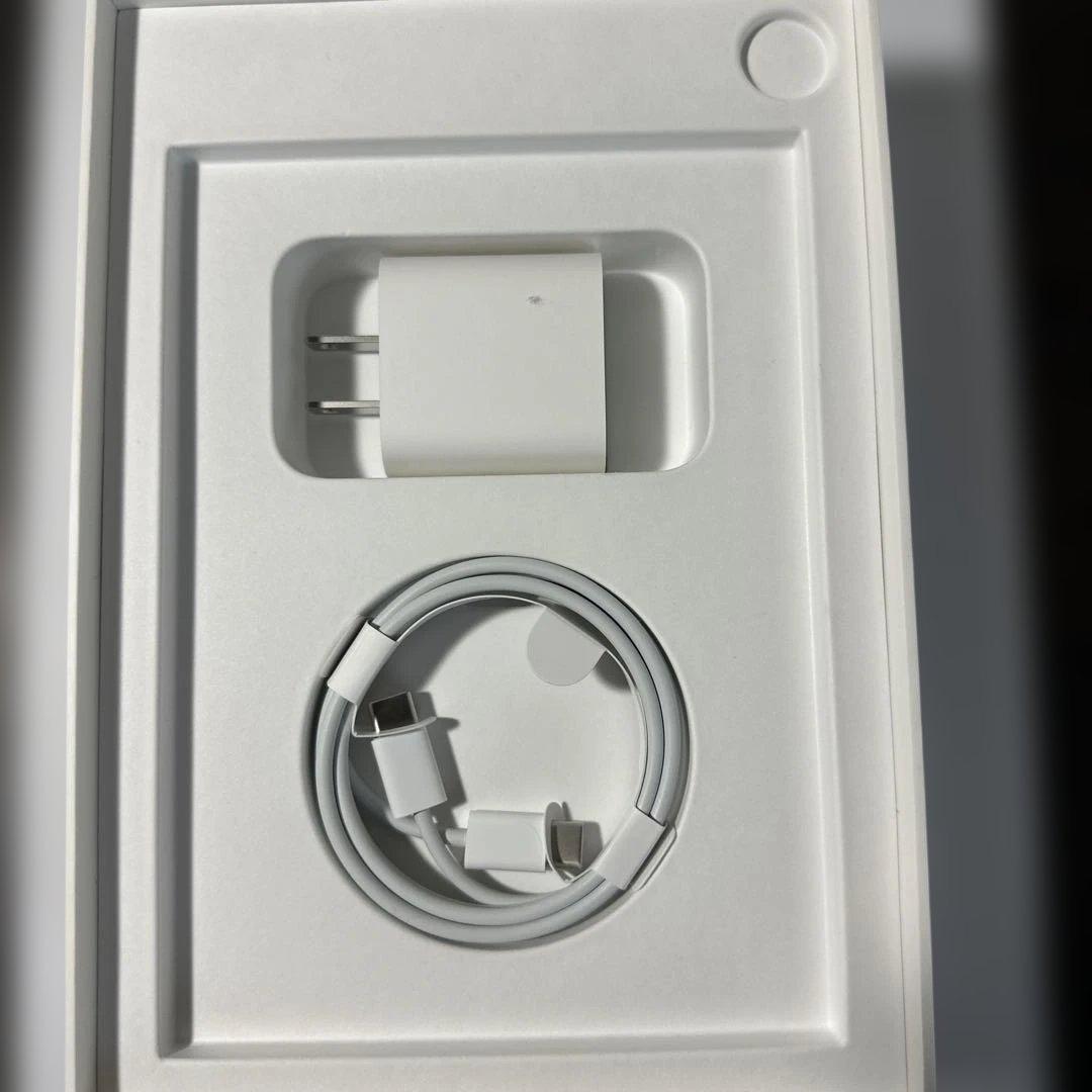 【美品！】iPad mini (第6世代) 256GB Wi-Fi おまけ付き！