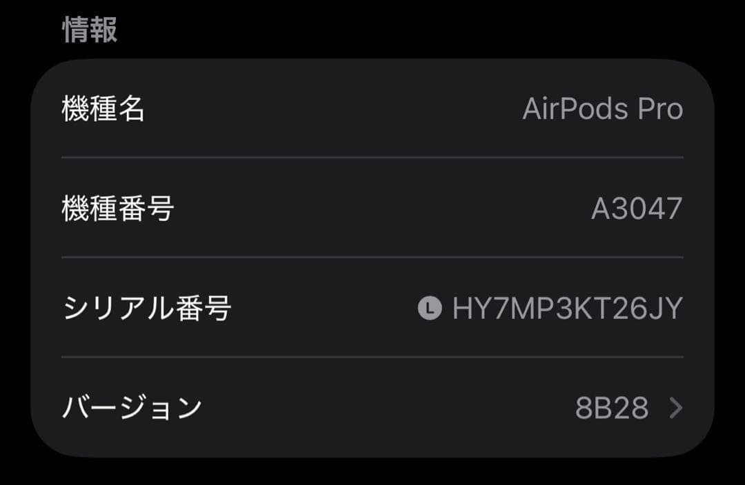 Apple AirPods Pro 第2世代 USB-C 両耳 [63]