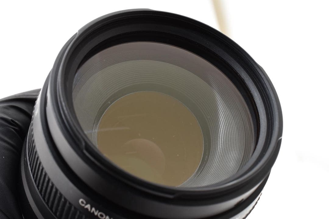 デジタルカメラ canon kiss x 10i / EF 75-300mm F4-5.6II