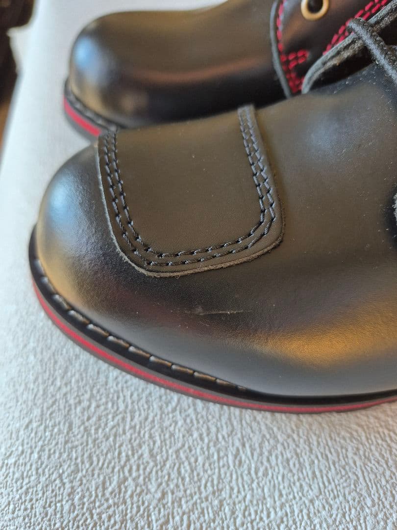 ワイルド・ウイング