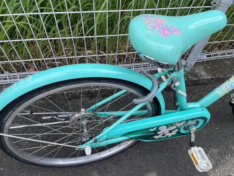 ブリヂストンECOPALエコパル22インチ-junior手渡しのみでお願いします