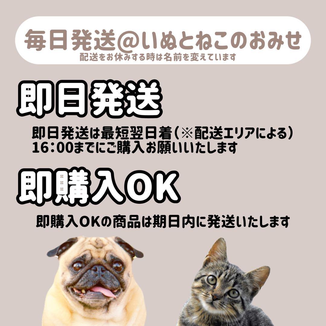 【10kg】セレクトバランス グリーンレシピ ヴィーガン ドッグフード