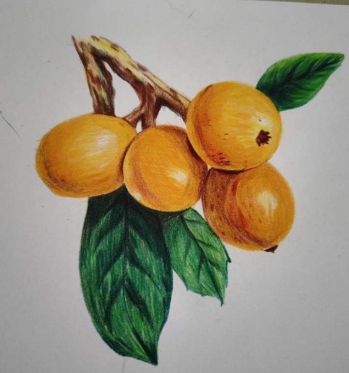 色鉛筆48色-うさこ様-12セット