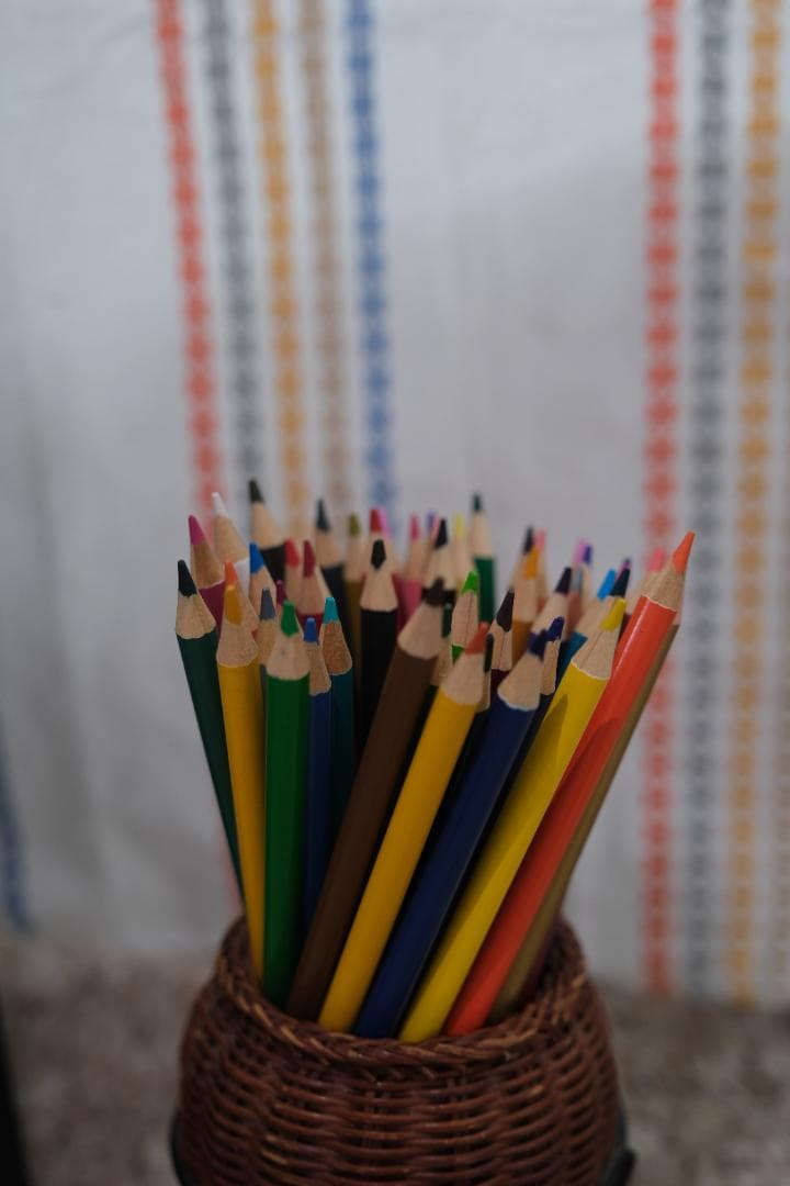 色鉛筆48色-うさこ様-12セット