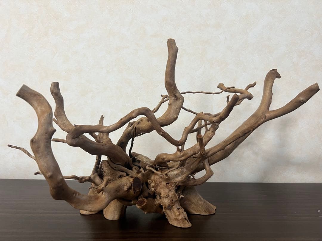 10116ブランチウッド　流木　アクアリウム 沈水確認済