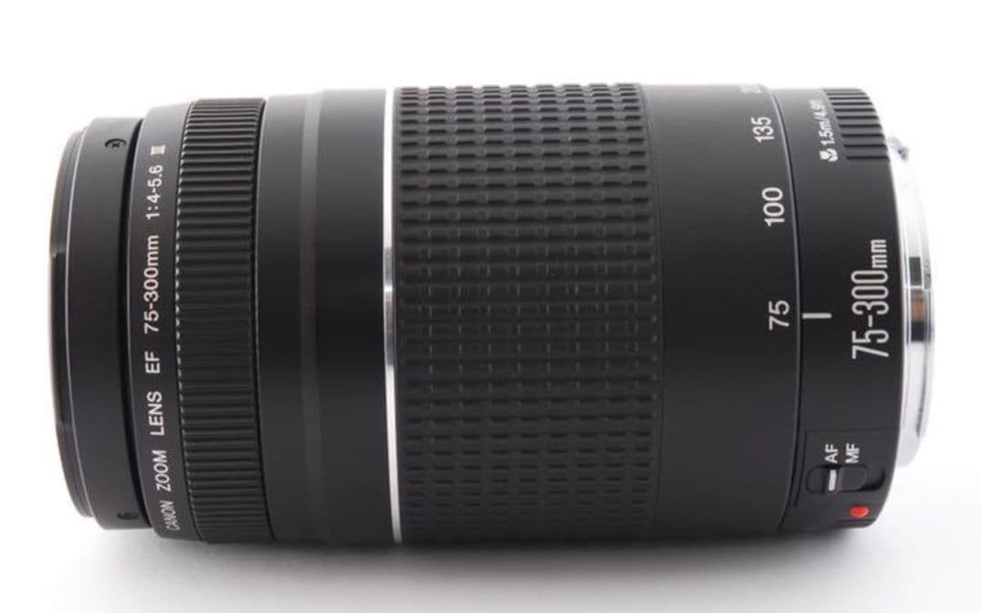 1月23日限定特価♪【超望遠レンズ】Canon EF 75-300mm Ⅱ