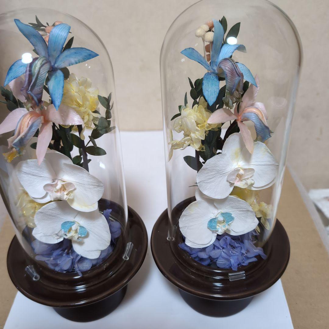特選仏花　 大　一対 ガラスドーム 胡蝶蘭　カトレア プリザーブドフラワー