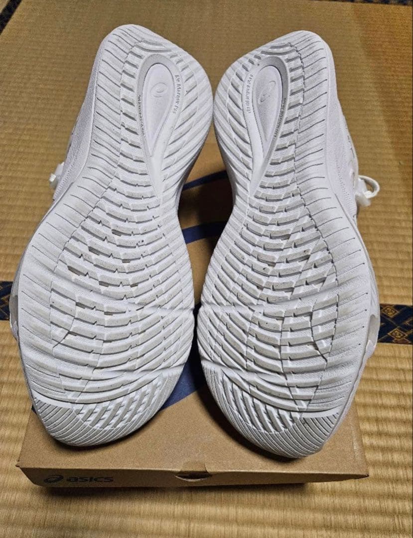 シューズ(男性用) Nova surge low2 28.0cm