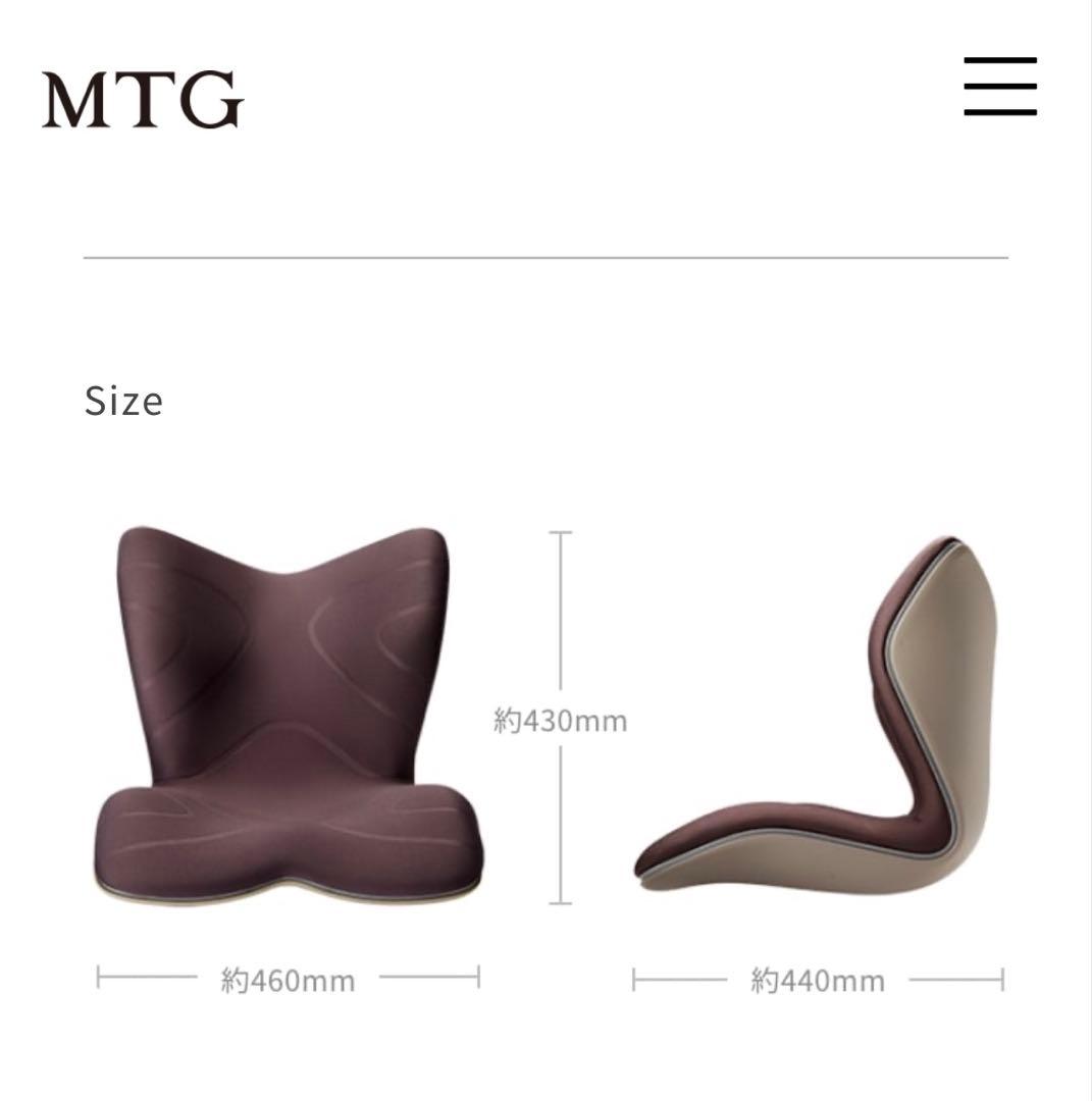 【新品未使用】スタイルプレミアム　styleplemium 茶