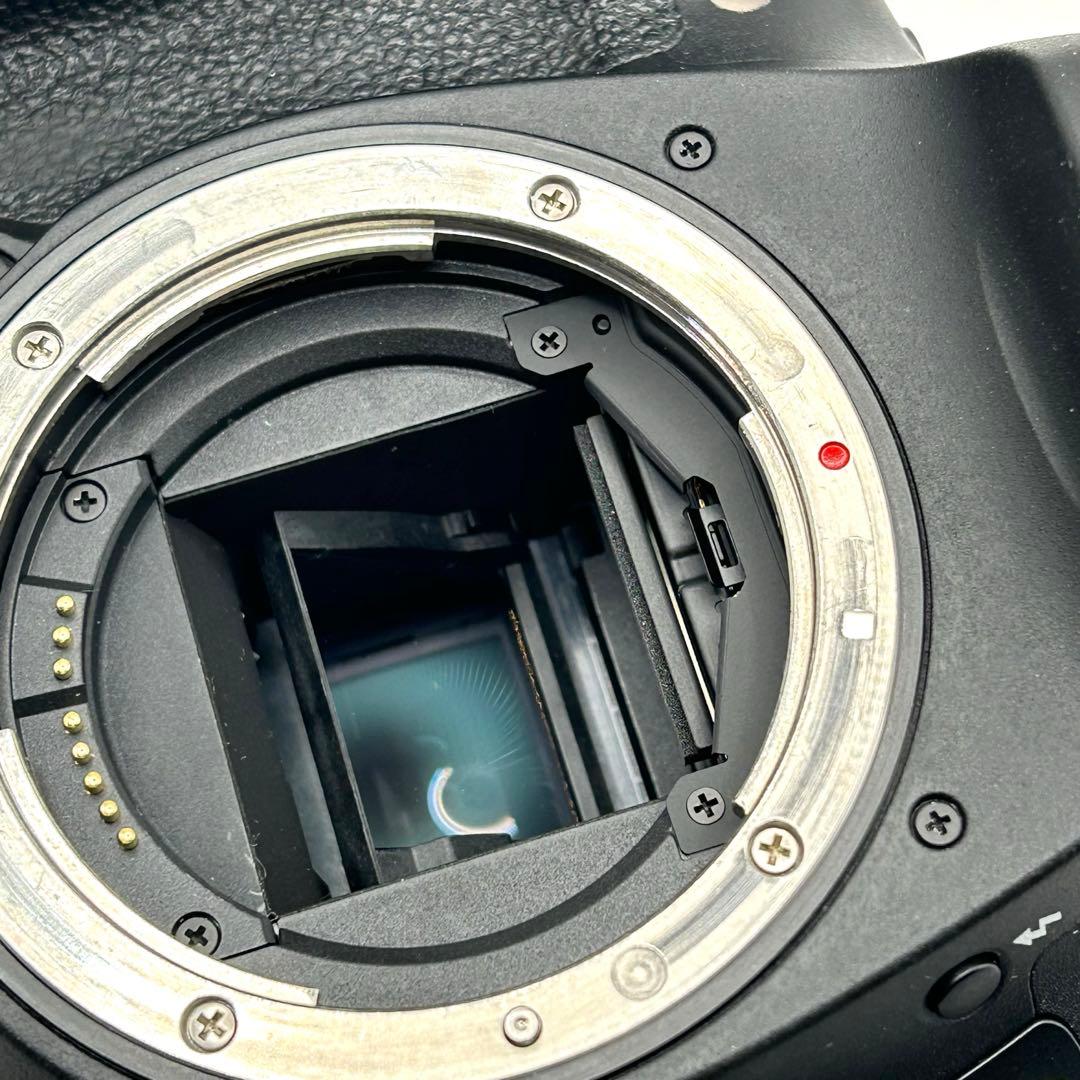 【最終値下げ】 Canon キャノン EOS 7D Mark II 付属品多数