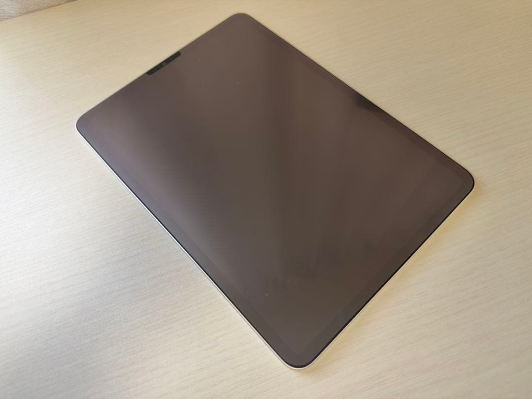 11インチ iPad Pro (第4世代) 256GB Wi-Fi シルバー