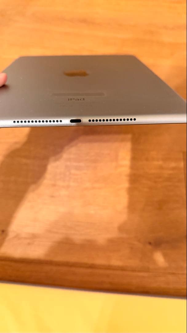 Apple iPad Air2本体
