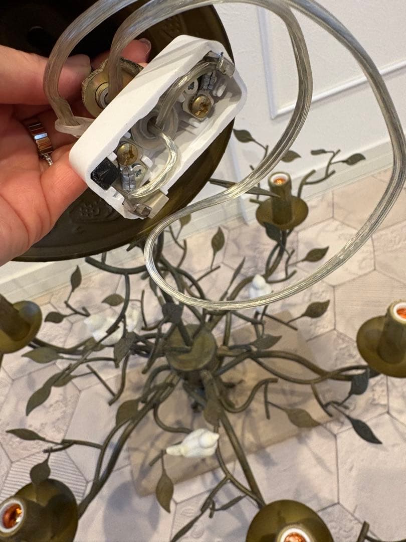 ORRB-オーブ ブロンズ製植物モチーフ6灯シャンデリア