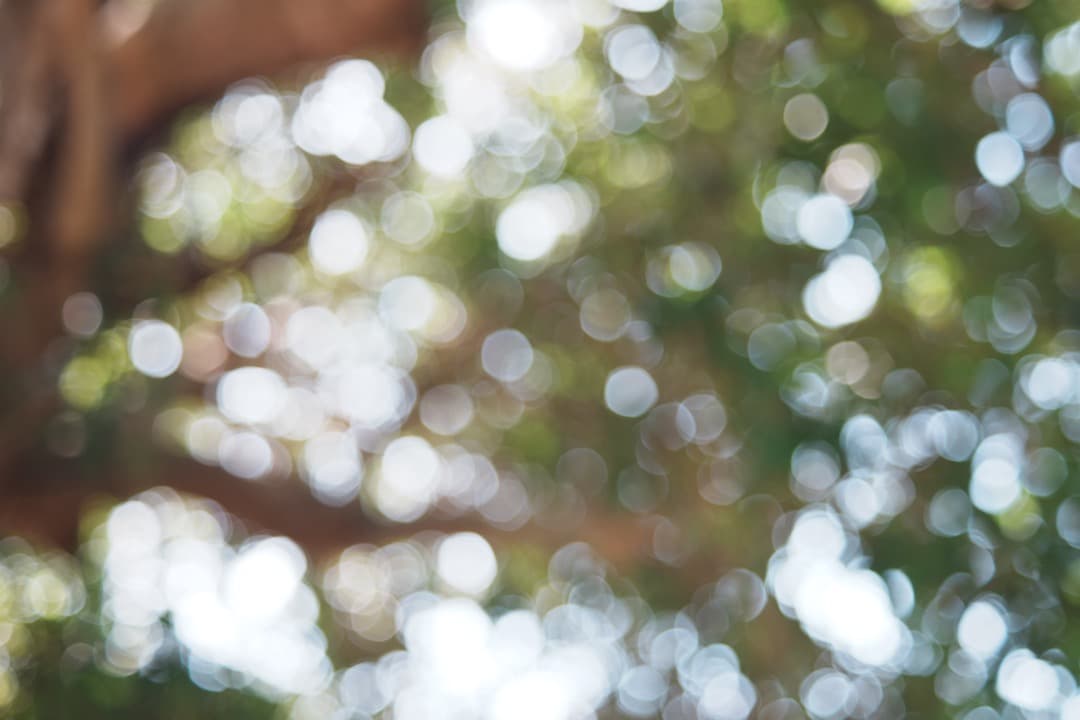 【希少一部金属】動作◎ FUJINON 55mm F2.2 817 バブルボケ