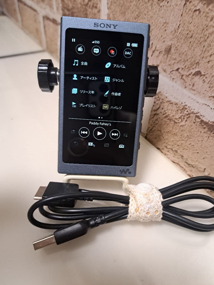 【美品】ウォークマン NW-A45 ムーンリットブルー　充電ケーブル付き